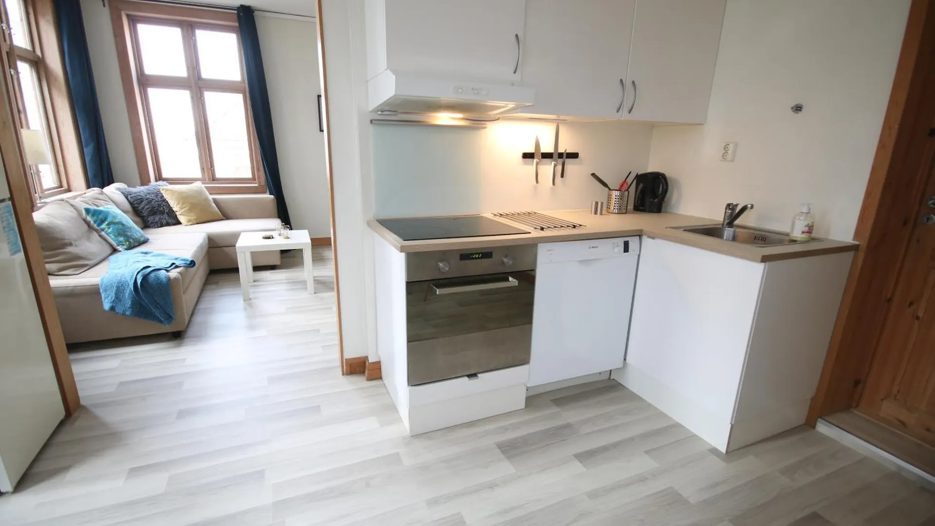 Spacious Apartment - Old Town Bergen