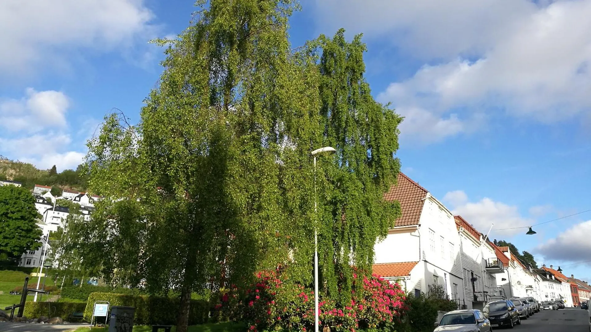 Spacious Apartment - Old Town Bergen